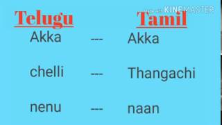 Learn Tamil through telugu part1  telugu latest [upl. by Ameehs]