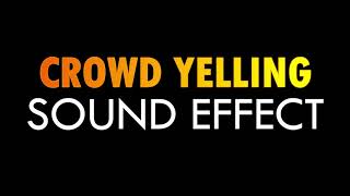 Crowd Yelling Sound Effect  HX Sounds [upl. by Mixie]