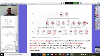 Stammbaumanalyse IV  Biologie Klasse 10 [upl. by Nyllaf828]