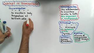 Introduction Of Homeostasis Class 12 Biology [upl. by Aikit674]