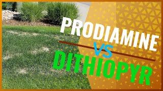 How To Choose The Right PreEmergent PRODIAMINE vs DITHIOPYR Crabgrass Preventer [upl. by Hach]