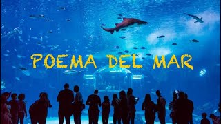 Gran Canaria Biggiest Aquarium Poema Del Mar January 2024 4K [upl. by Akienat]