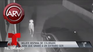 Mujer hispana asegura que grabó a un extraterrestre  Al Rojo Vivo  Telemundo [upl. by Anzovin]