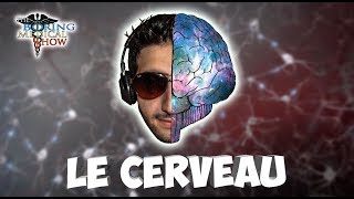 ANATOMIE  LE CERVEAU 🧠 [upl. by Yarised906]