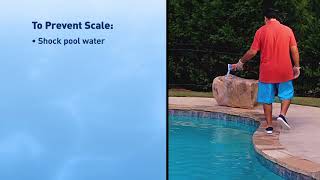 Removing Pool Scale Pool Time® [upl. by Goeselt]