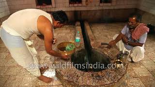 Hindu ritual performed every day in a Shiva Temple  Shivling Puja [upl. by Nareik]