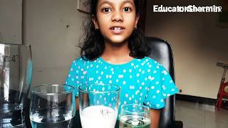 STEM Miscible and immiscible Liquids Science EducatorSharmin [upl. by Nickola]