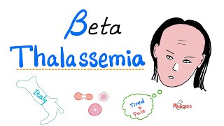 Beta Thalassemia  Causes and Types  minor Major amp Intermedia  Hematology [upl. by Carrel]