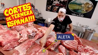 Los CORTES de la TERNERA en ESPAÑA 🐄 Pecho Babilla Aleta Tapa Contra [upl. by Merchant]