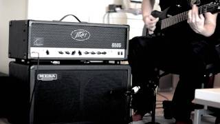 Peavey 6505  Playthrough [upl. by Germano217]