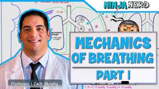 Respiratory  Mechanics of Breathing Pressure Changes  Part 1 [upl. by Slaughter]