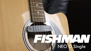 Review Captador Passivo Fishman Neo D Single [upl. by Sigismund]