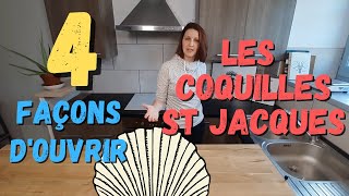 Comment ouvrir des Coquilles St Jacques  TUTOPOISSON [upl. by Lelah366]