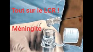 Etude cytobactériologique du LCR  différents aspect du LCR [upl. by Lolande]