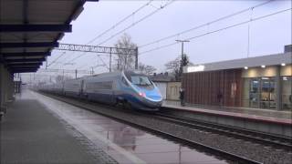 Ciechanów zatrzymał Pendolino [upl. by Nilyak]