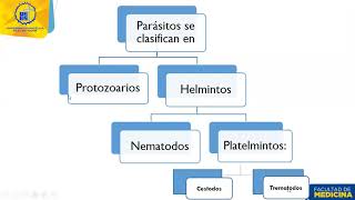 Clase 45 Generalidades de parásitos [upl. by Nywg922]