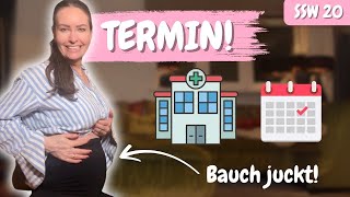 19 SSW Mein Bauch explodiert – Pflege gegen Schwangerschaftsstreifen 🤰 [upl. by Roseanne]