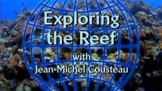 Exploring the Reef with JeanMichel Cousteau [upl. by Elgna733]