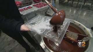 Inside Southern Californias Most Trendsetting Chocolate Factory [upl. by Suter]