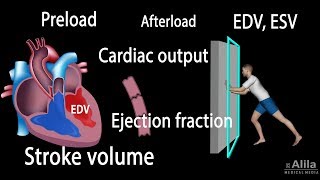 Cardiac Output Stroke volume EDV ESV Ejection Fraction [upl. by Gui864]