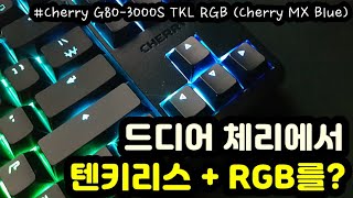 【키보드 리뷰 자막有】 체리 G803000S TKL RGBㅣ체리에서 텐키리스RGB키보드를ㅣ무보강 기계식 키보드ㅣ체리 MX 청축삼신청ㅣ피씨디렉트 [upl. by Malia166]