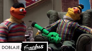 Berts New Roommate  Robot Chicken  FANDUB LATINO  SPANISH DUB [upl. by Clareta]