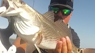 Targeting Summer Redfish  OBX  Pamlico Sound Kayak Fishing [upl. by Asp]