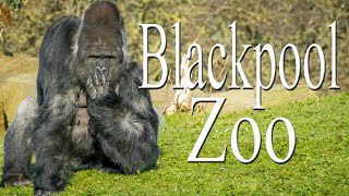 Blackpool Zoo [upl. by Straus]