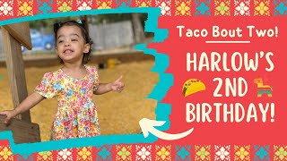 Harlow’s 2nd Birthday Fiesta 🪅 🌮 [upl. by Ellehcar]