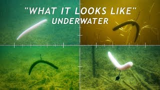 4 Wacky Rigging Methods  What it Looks Like Underwater [upl. by Tiebout]