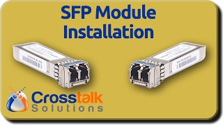 SFP Module Installation [upl. by Lalo]