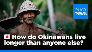 How do Okinawans live longer than anyone else  euronews 🇬🇧 [upl. by Eatnoid]