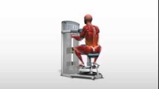 Exercise Videos Torso Rotation  Machine [upl. by Josie]