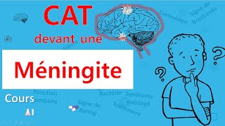 Méningite🙄 cest quoi la CAT 🤔  Cours  Infectiologie [upl. by Stokes820]