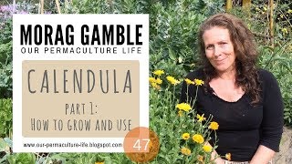 Calendula Part 1 How to Grow and Use [upl. by Nerehs]