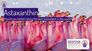 Astaxanthin 7 mins on why you should take the best antioxidant in the world [upl. by Ennovyhc]