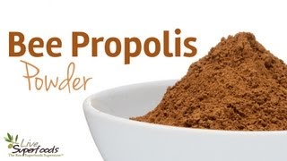 All About Bee Propolis Powder  LiveSuperFoodscom [upl. by Nyleve]