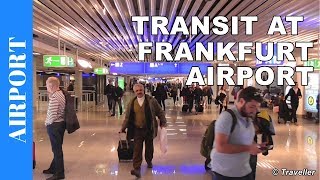 TRANSIT WALK AT FRANKFURT Airport FRA Terminal 1  Connection Flight Transfer Arriving amp Departing [upl. by Delacourt]