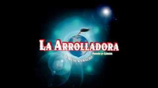 Disponible Para Mi  La Arrolladora Banda El Limón En Vivo Audio HD [upl. by Eiznekcm]