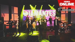 Los Terribles Diamantes de Valencia  Concierto Online HD [upl. by Canfield]