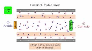 Capillary Electrophoresis [upl. by Bigford]