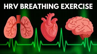 HRV Resonant Breathing Exercise  Guided Cardiac Coherence Breathing  TAKE A DEEP BREATH [upl. by Barber]