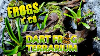 New Vivarium Build For Thumbnail Dart Frogs  Exo Terra Frogs amp Co Dart Frog Terrarium [upl. by Luehrmann605]