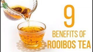 9 Amazing Ways Rooibos Tea Can Benefit Your Health  Organic Facts [upl. by Ern]