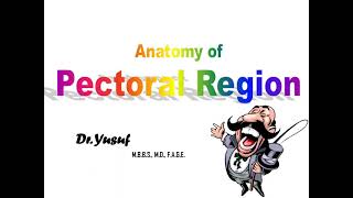 Anatomy of the Pectoral Region  Dr Yusuf [upl. by Griffiths]