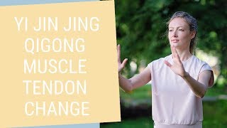 Qigong Yi Jin Jing  Qigong Muscle Tendon Change Classic [upl. by Yenial]