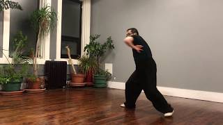 Cheng Style Bagua Baguazhang SwimmingBody Exercise [upl. by Dressler493]