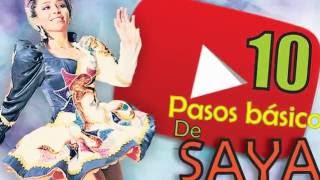 10 Pasos basicos de SAYA [upl. by Llewol831]