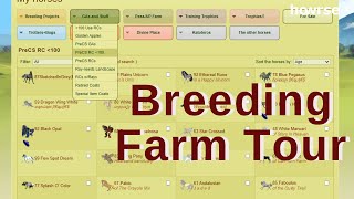 Breeding Farm TourMy Howrse Collections [upl. by Eihs]