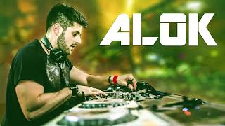 ALOK 2019 🌱 Melhores Na Balada Jovem Pan 2019 🌱 Musica Eletronica Mix [upl. by Shaver765]